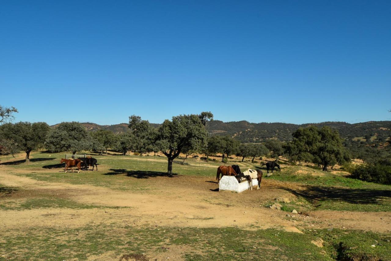 Finca Santa Maria De Las Canadas El Garrobo Exterior foto